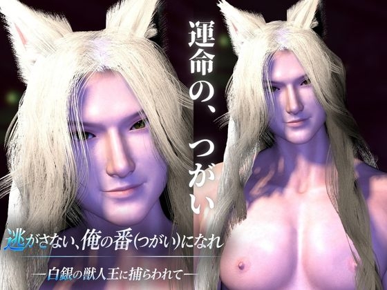 CV【獣人王/独占溺愛1時間】逃がさない、俺の番になれ ～白銀の獣人王に捕らわれて～【白銀髪/長髪/獣耳】