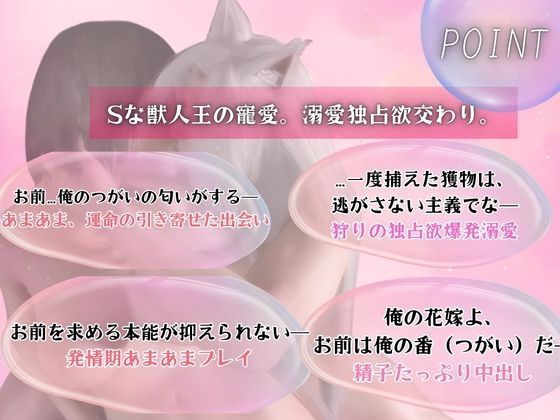 CV【獣人王/独占溺愛1時間】逃がさない、俺の番になれ ～白銀の獣人王に捕らわれて～【白銀髪/長髪/獣耳】