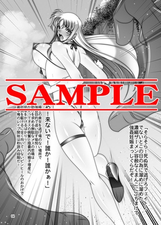 IN THE BITCH! fate 画像1