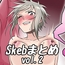 Skebまとめvol.2