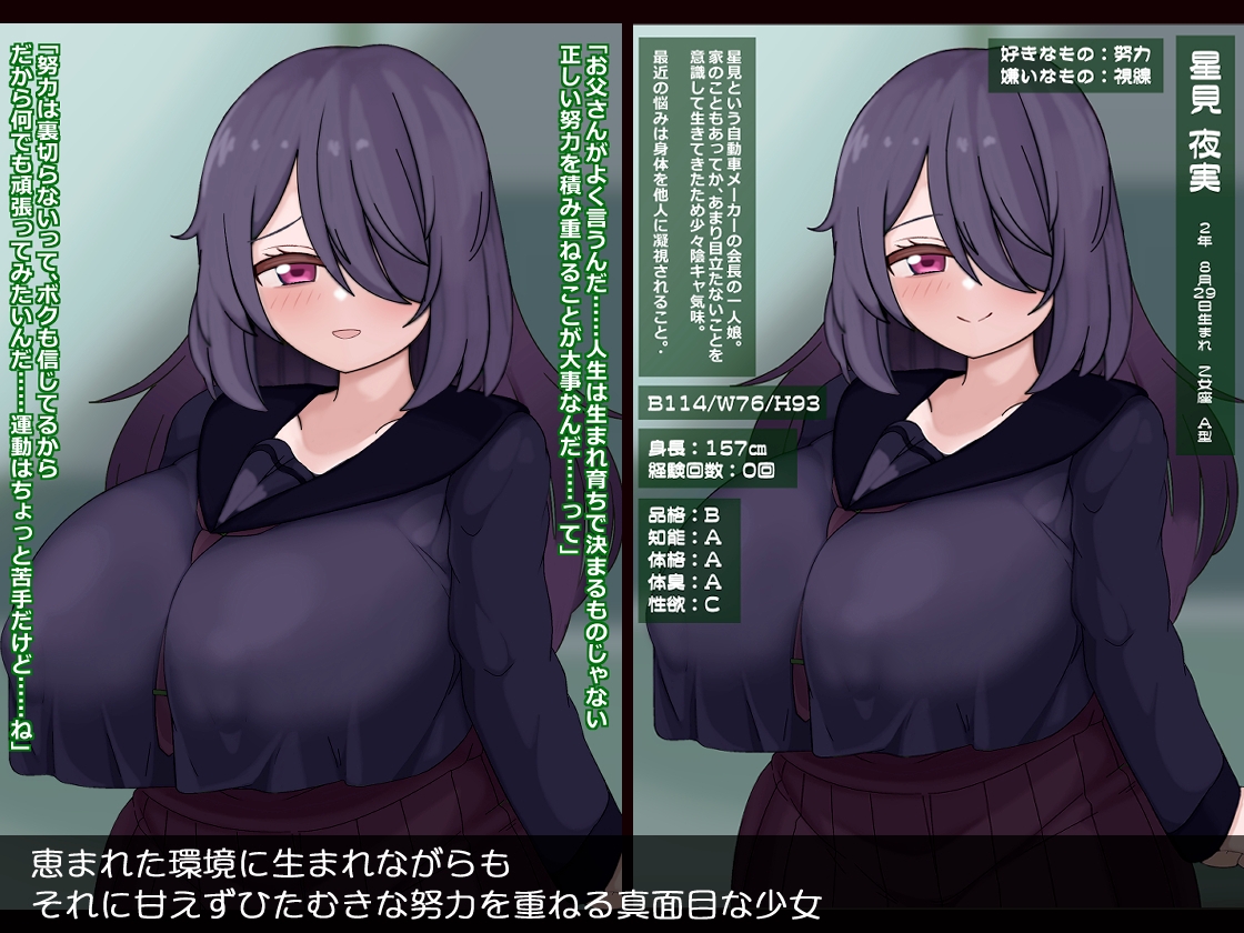 人生終了!?真面目に生きてきたのに…誘拐・調教・精神崩壊 画像1