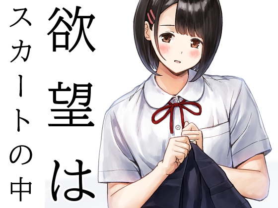 パンツを覗かれたことをきっかけに【欲望はスカートの中】　by　METAMOR-WORKS