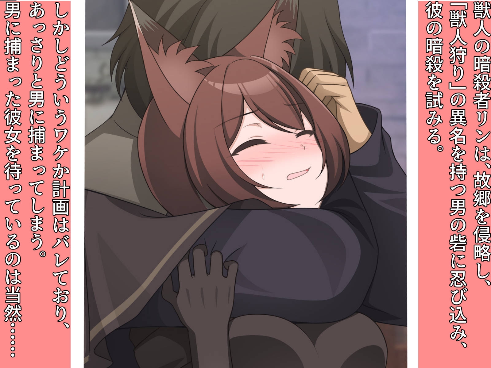 捕まった獣人暗殺者、イエネコになる。 画像1