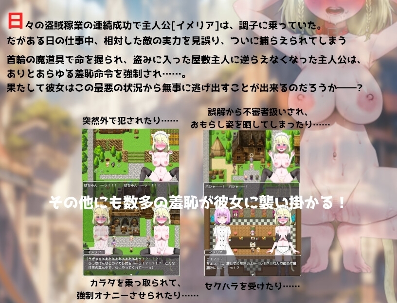 【スマホ版】調子に乗って富豪の家に忍び込んだ巨乳盗賊ちゃんの末路【DL Play Box版】 画像1