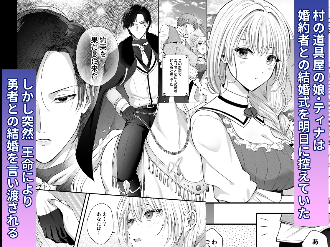 勇者の望む褒章は婚約者のいる村娘 画像1