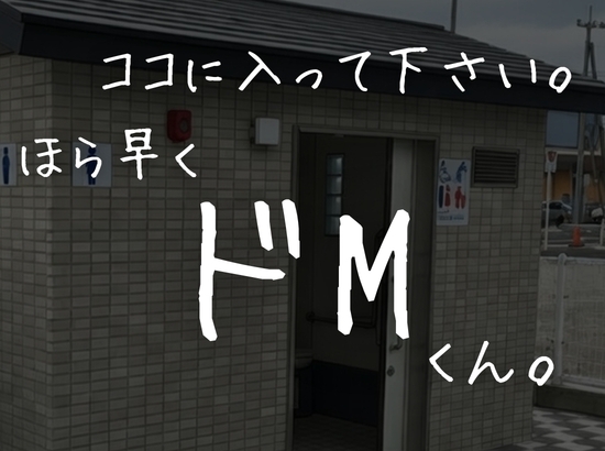 職質された瞬間、人○終了。〜美人婦警から公衆トイレで逆レ○プ?地獄に堕ちた夜〜 画像5