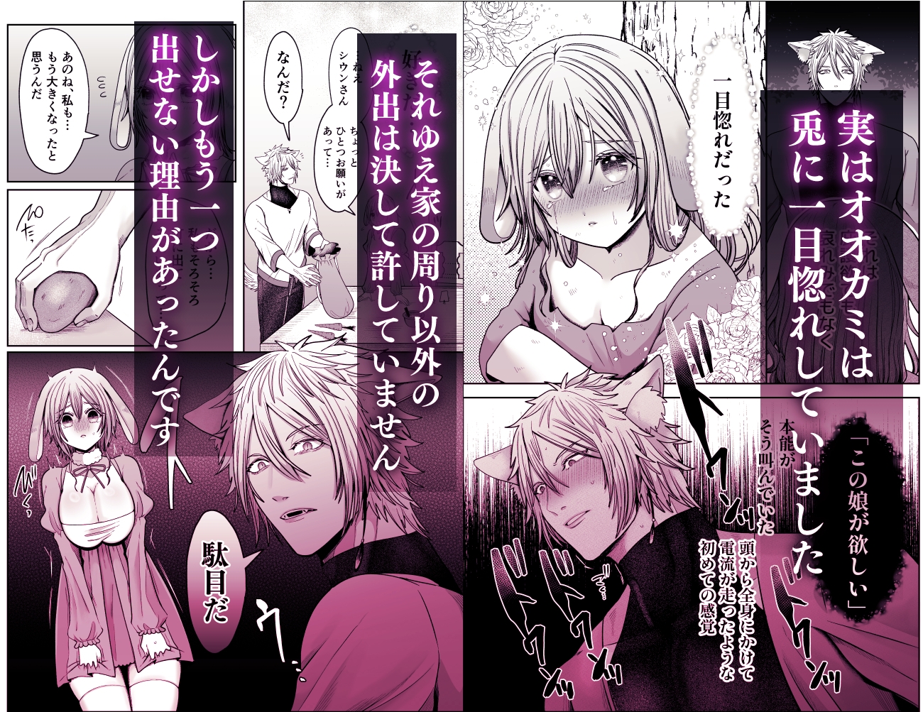 劣情狼と発情うさぎ ─治療という名の強○孕ませセックス─ 画像3