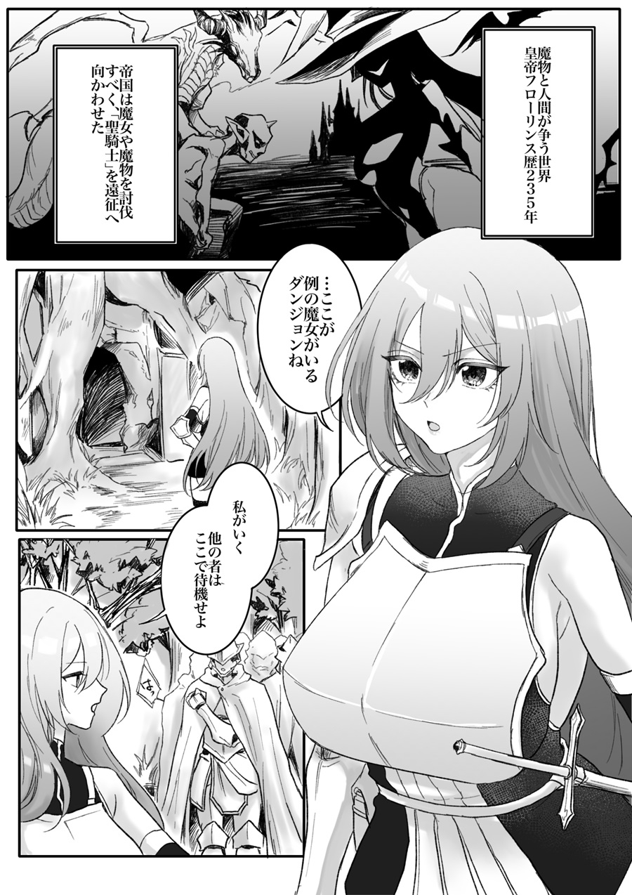 分裂少女 アイビス・フリーゲル 画像1