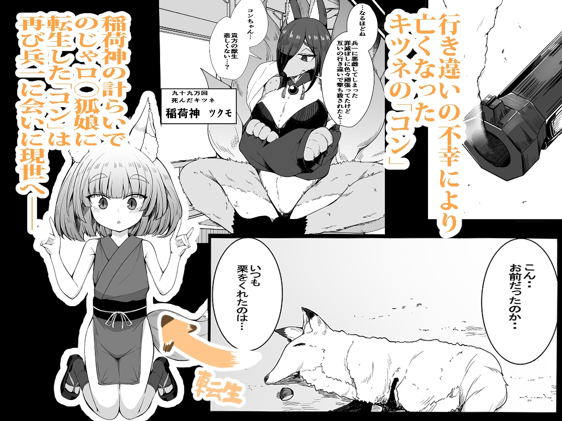 こんきつね 画像1