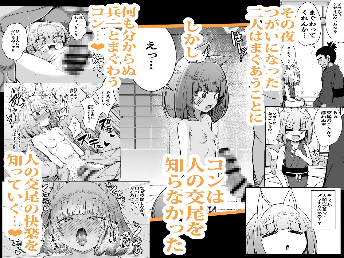 こんきつね 画像3