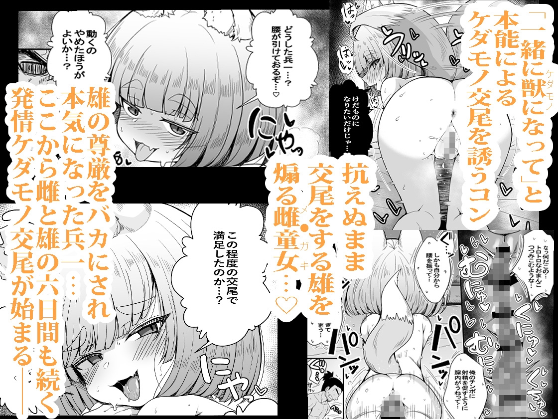 こんきつね 画像6