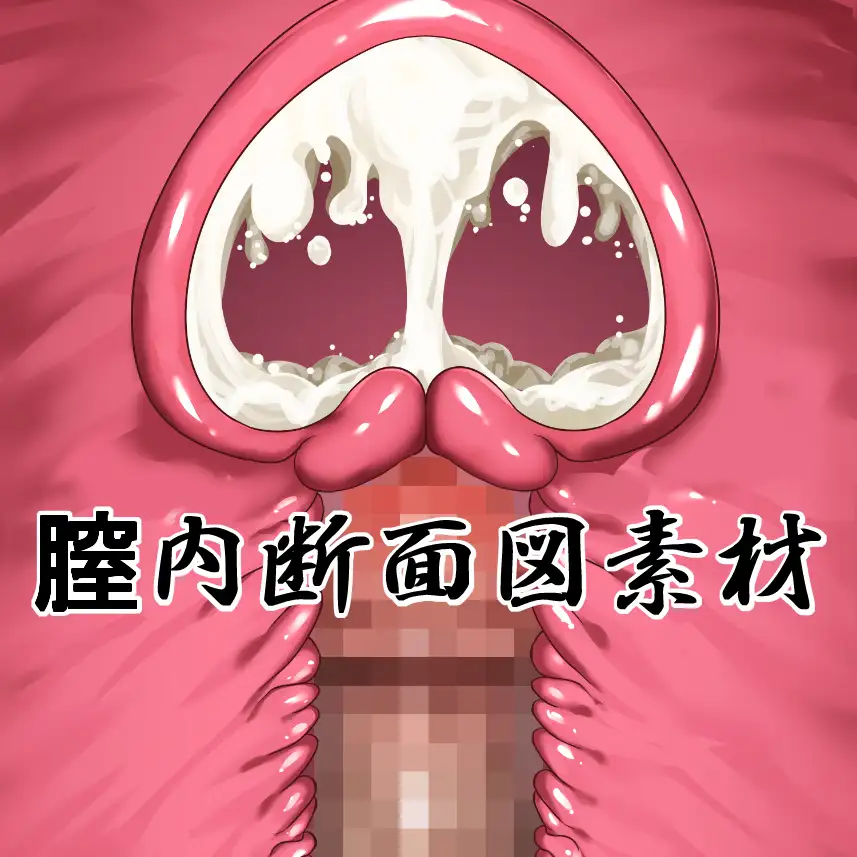 膣内断面図素材 [水の木] | DLsite 同人 - R18