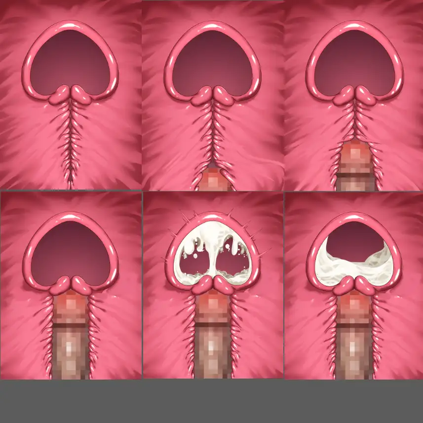 膣内断面図素材 [水の木] | DLsite 同人 - R18