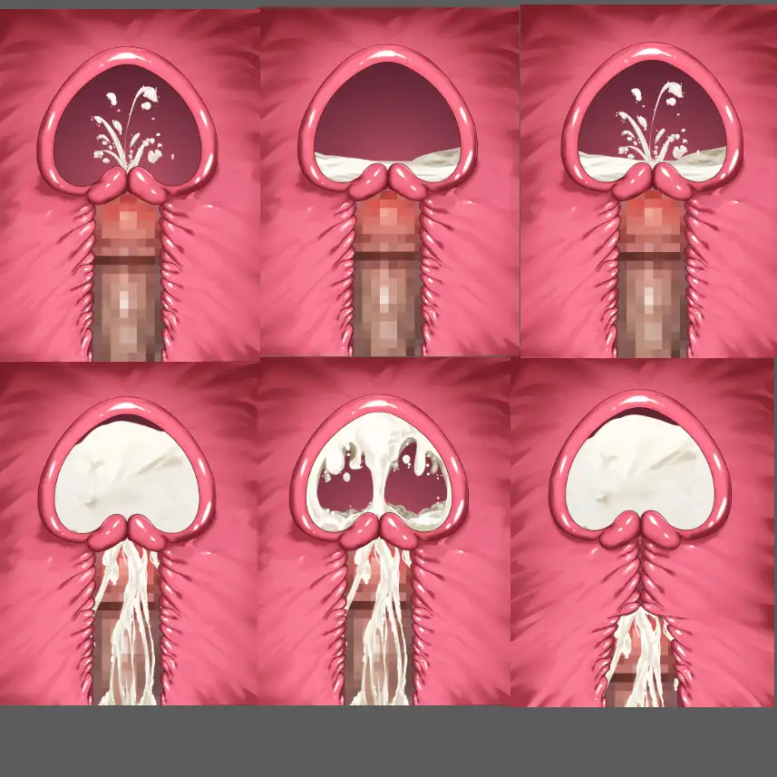 膣内断面図素材 [水の木] | DLsite 同人 - R18