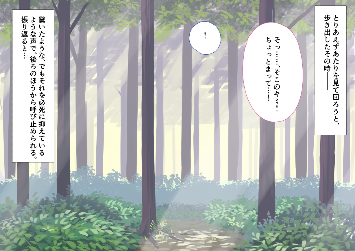 エルフのお姉さんにお持ち帰りされました！！～生贄のち転送のちハッピーライフ～ 画像6