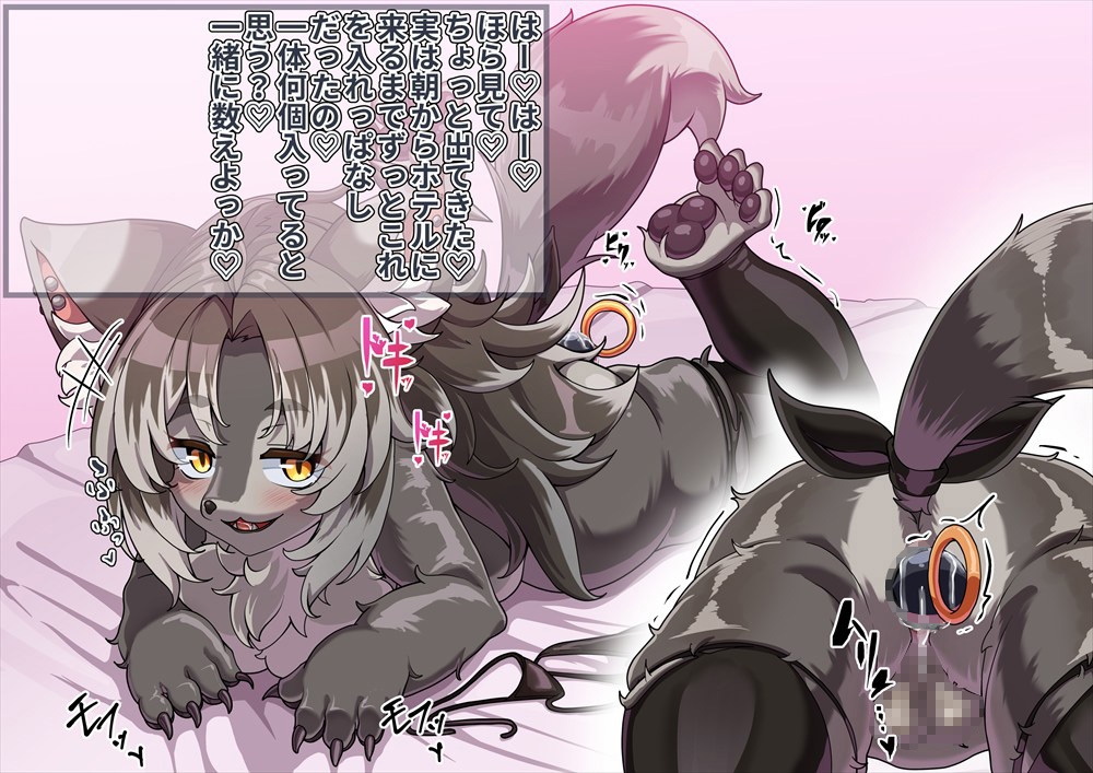 FANBOXバックナンバー2026年2月公開分 画像2