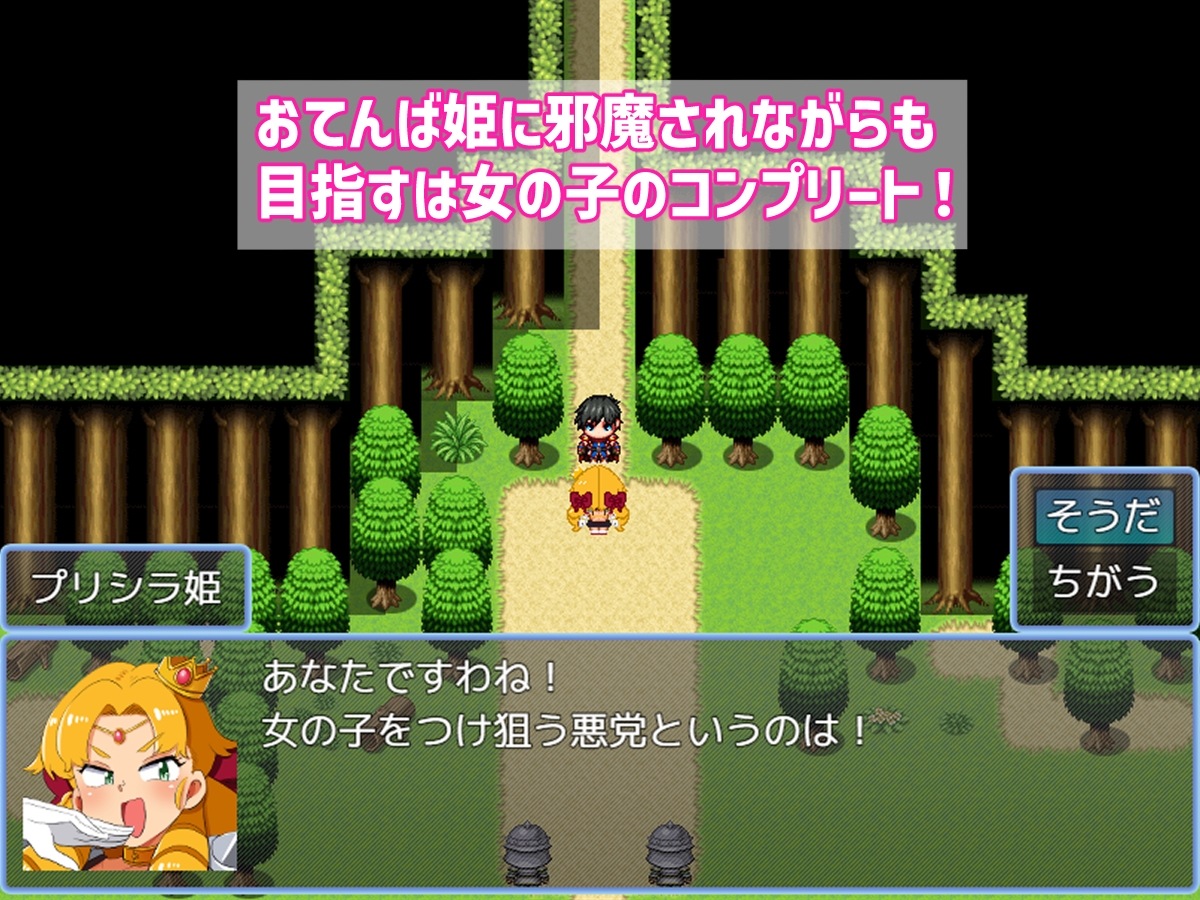 バトルに勝ったら即エッチ～バトルファックRPG～ 画像4