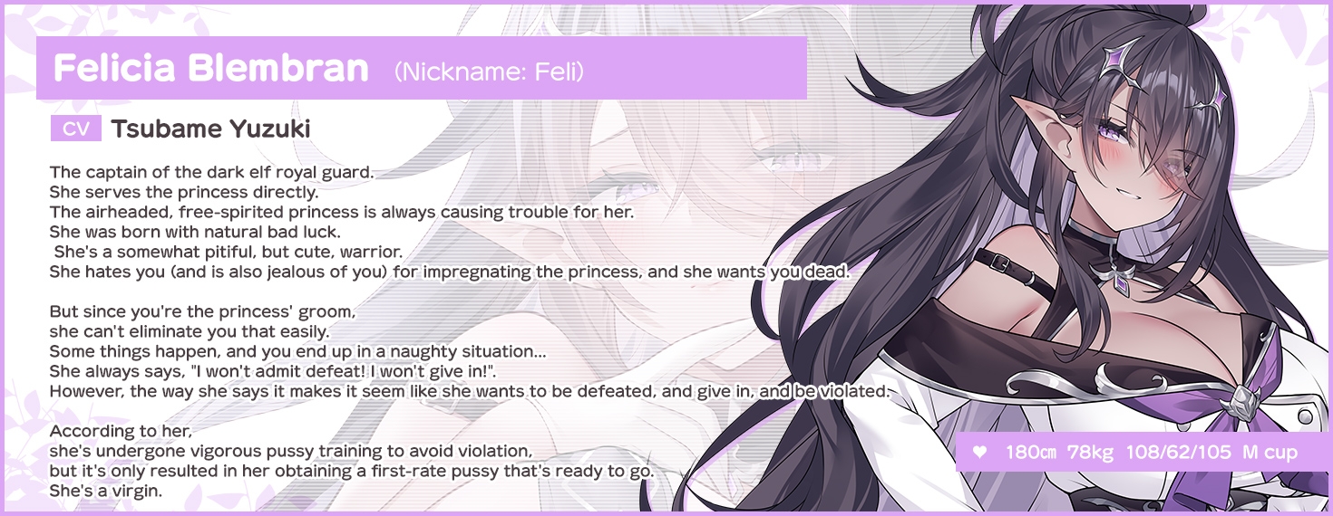 JK Elf's Parallel World Conception Plan Special Pack