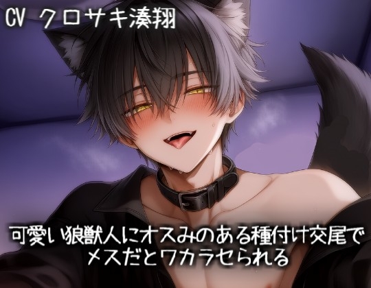 可愛い狼獣人にオスみのある種付け交尾でメスだとワカラセられる-0画像