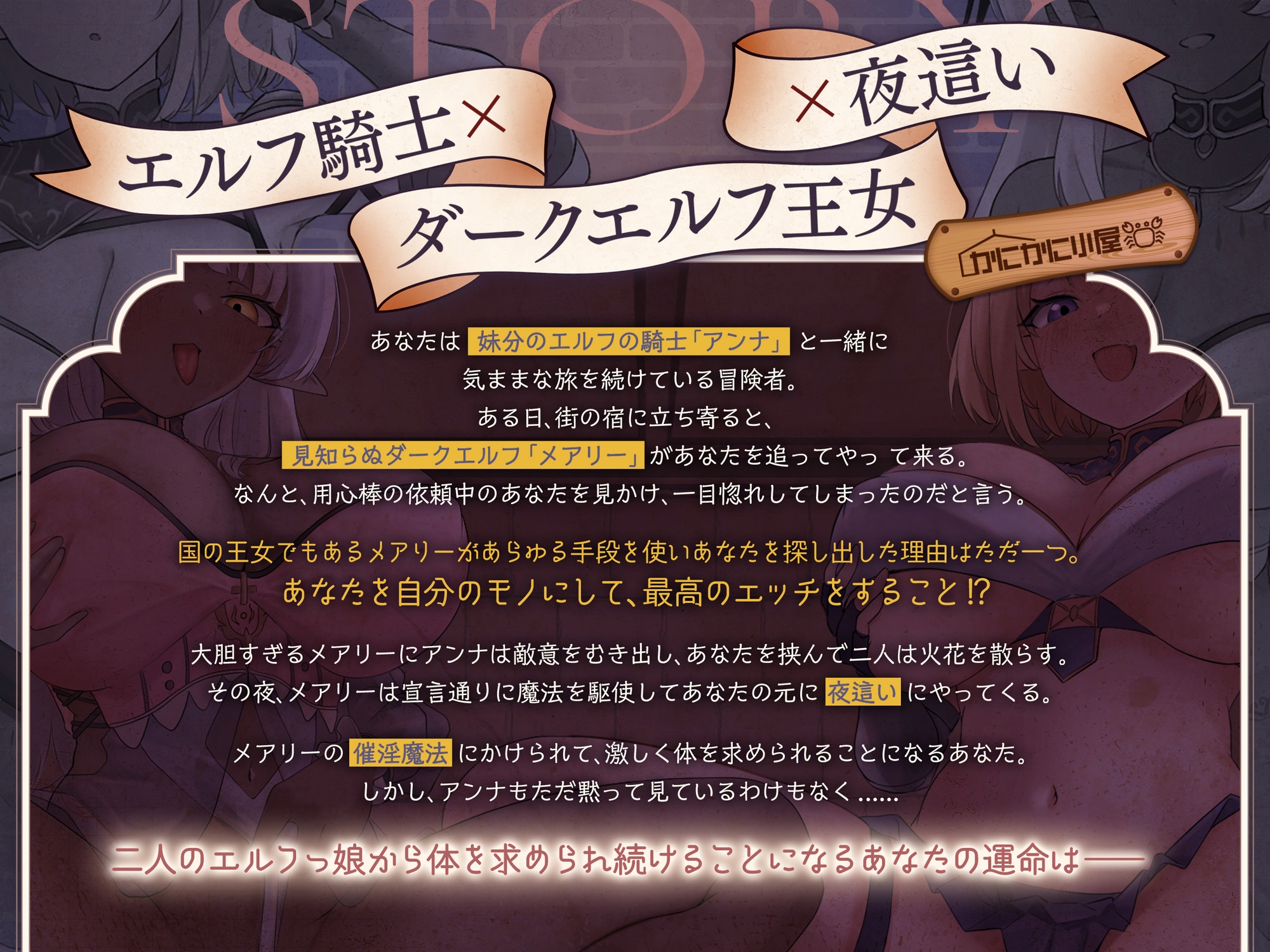 ゆうべもおたのしみでしたね～スケベ度S級冒険者ダークエルフ王女×妹エルフ騎士～ 画像1