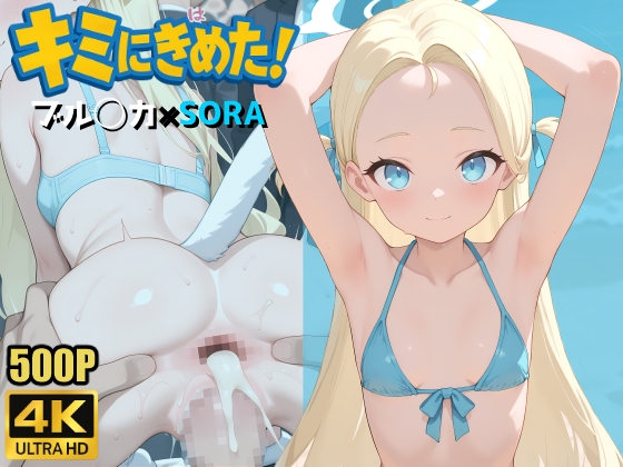 キミにきめた！ ブル◯カ×SORA