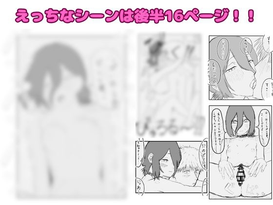 デンレゼが〇〇〇を受け入れて純愛いちゃらぶえっちする本 画像2