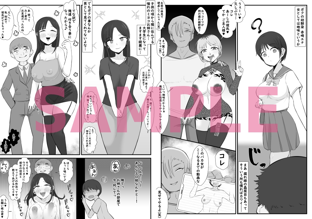 【BSS】ボクは相手にされないヤリマン図鑑 サンプル 3/3