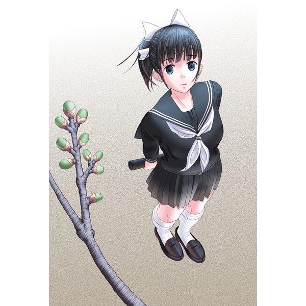 pure sailors etc. 画像4