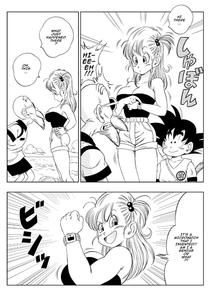 亀トイレ 画像3