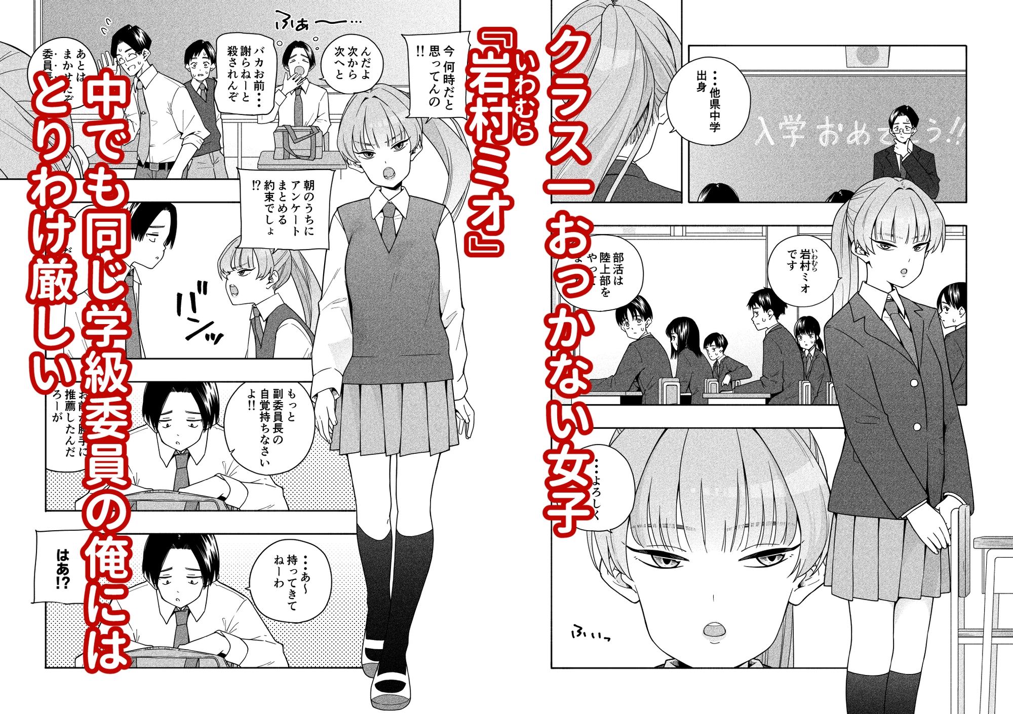 カムフラージュ_1
