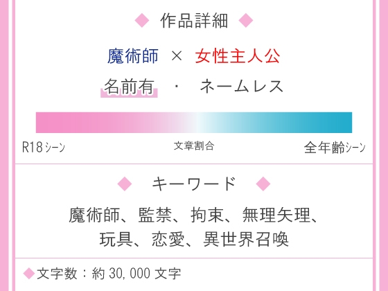 私を異世界に召喚して監禁した魔術師の執着 画像1