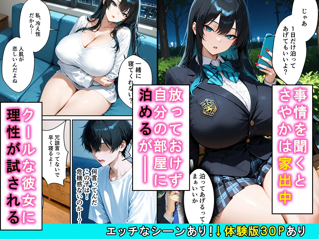 家出したクールなギャルを拾ったらベタ惚れされてイチャラブセックスした話 サンプル画像 2
