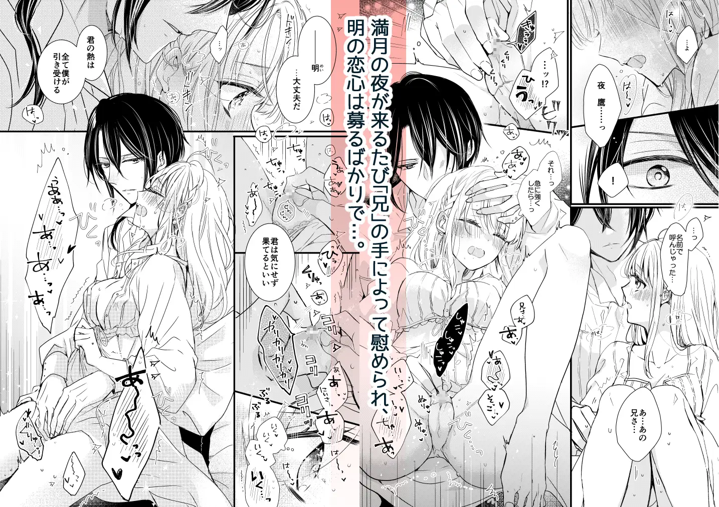 サンプル画像5