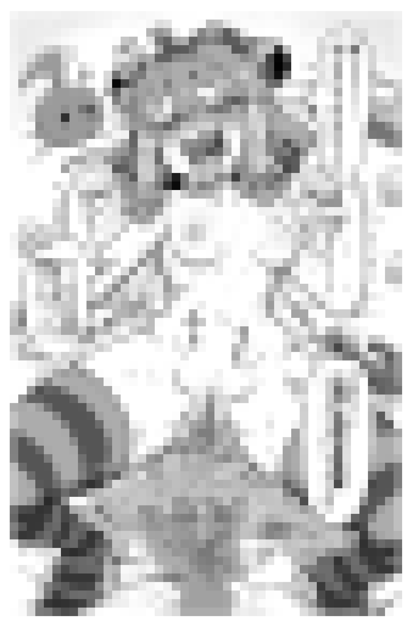 冒涜少女クトゥルフちゃんえちえちペット飼育体験 画像8