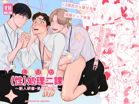 (性)処理二課〜新人研修・処女喪失編〜
