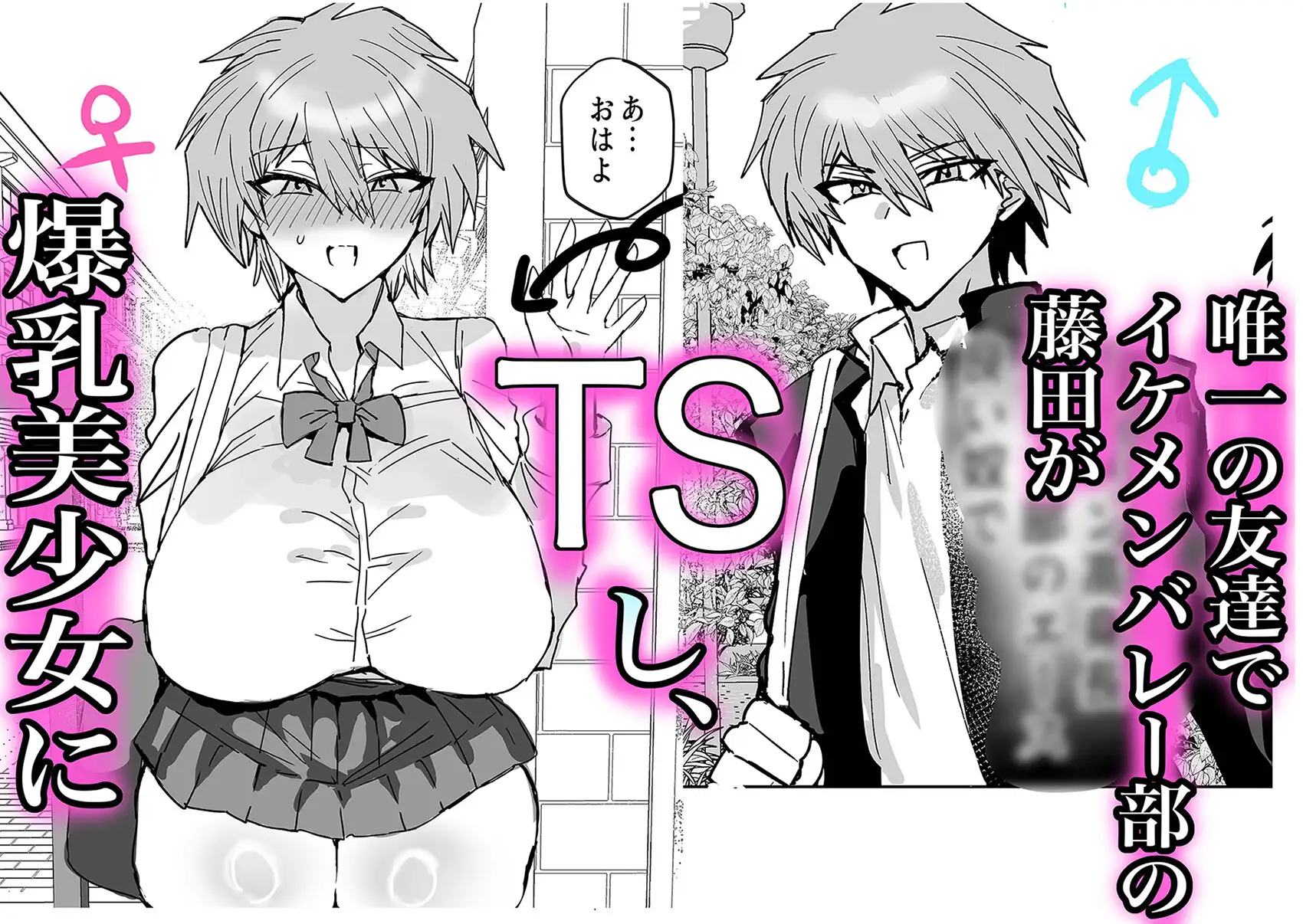 TS幼馴染は寝取られる