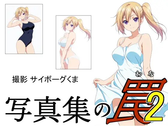 写真集の罠2 ジャケット画像