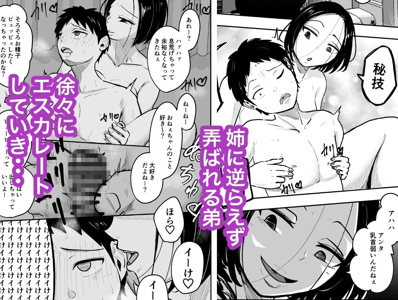 弟は甘々ドSな姉の言いなりオモチャ 画像2