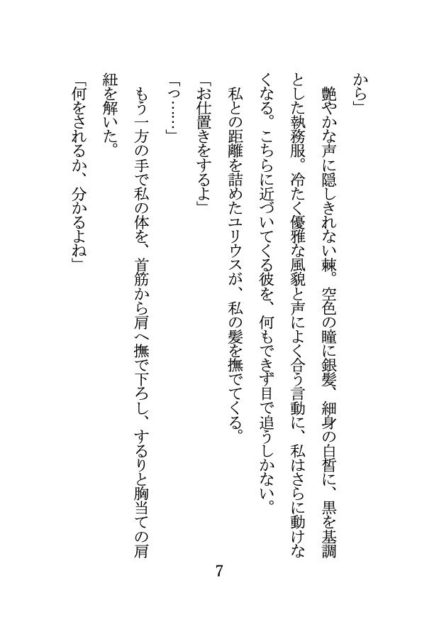 冷たく優美な微笑の王子は女騎士の身を憂う 〜お咎めSEXで女にされる淫らなお仕置き〜 画像4