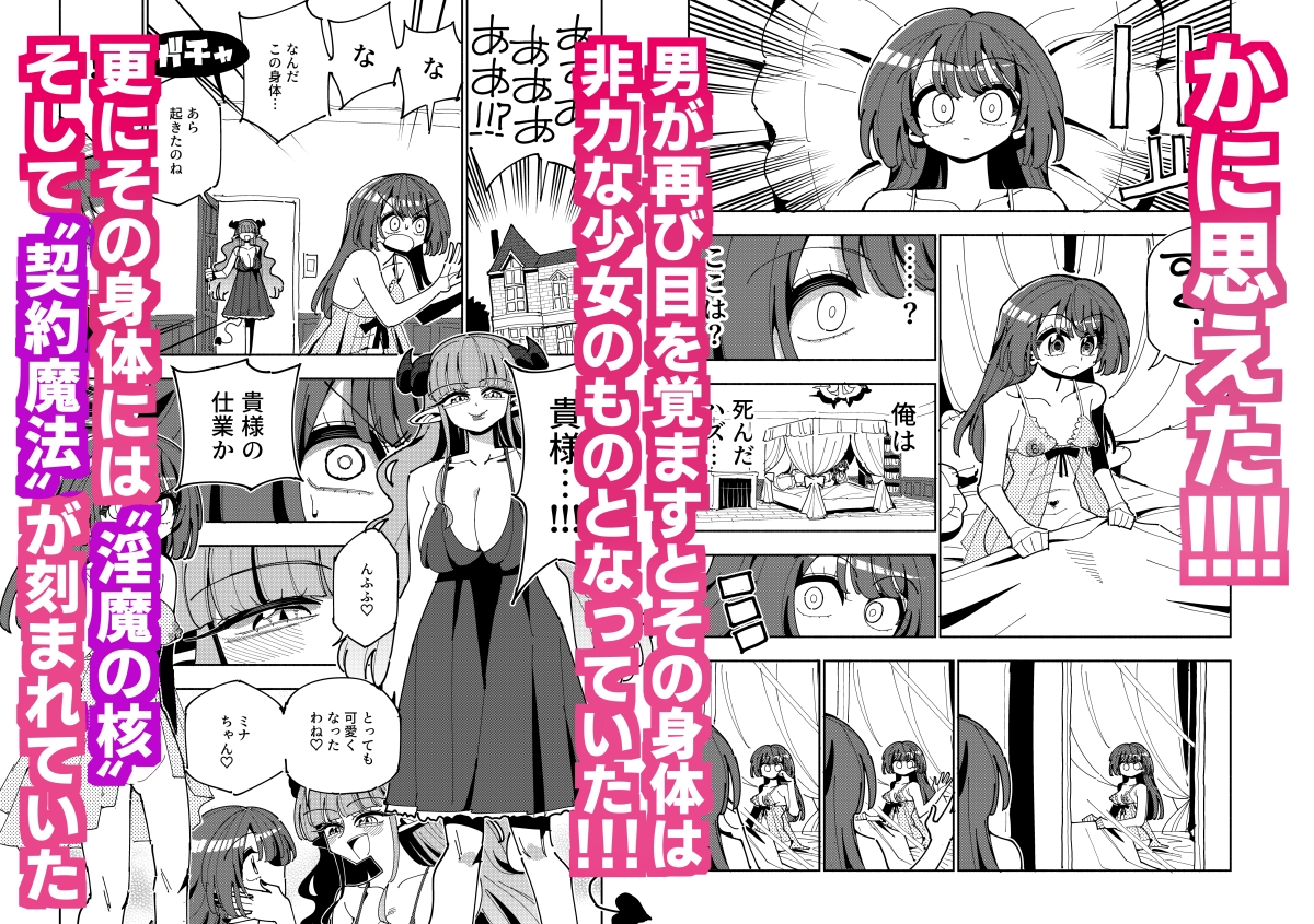 TS復讐者は淫魔の妹になる 画像2