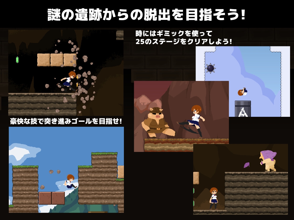 クロナルインズ サンプル1