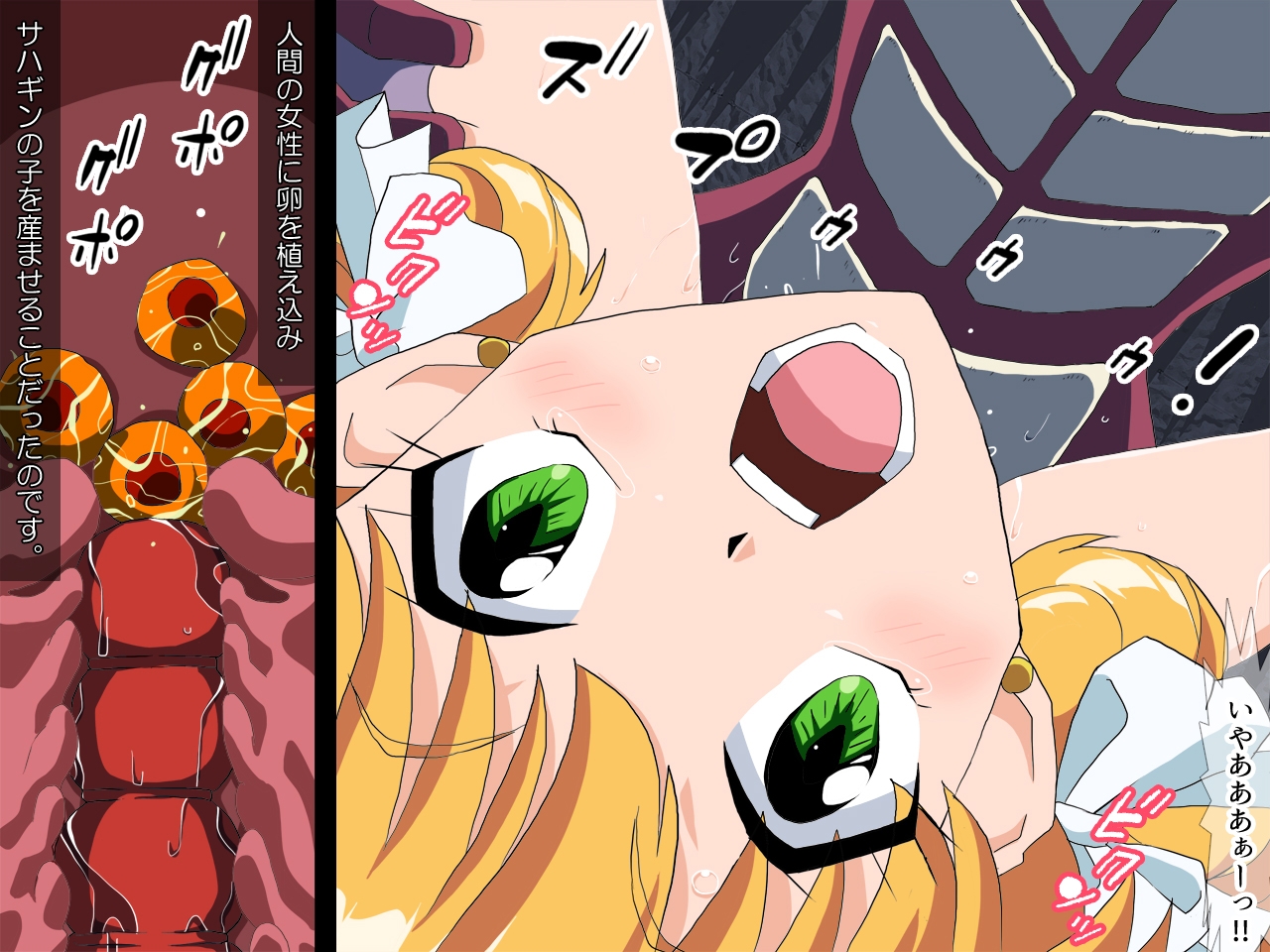 魔法少女孕む サハギンの子 画像1