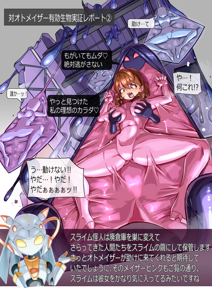 装麗癒契オトメイザー ひみつ大図鑑(3) 画像3