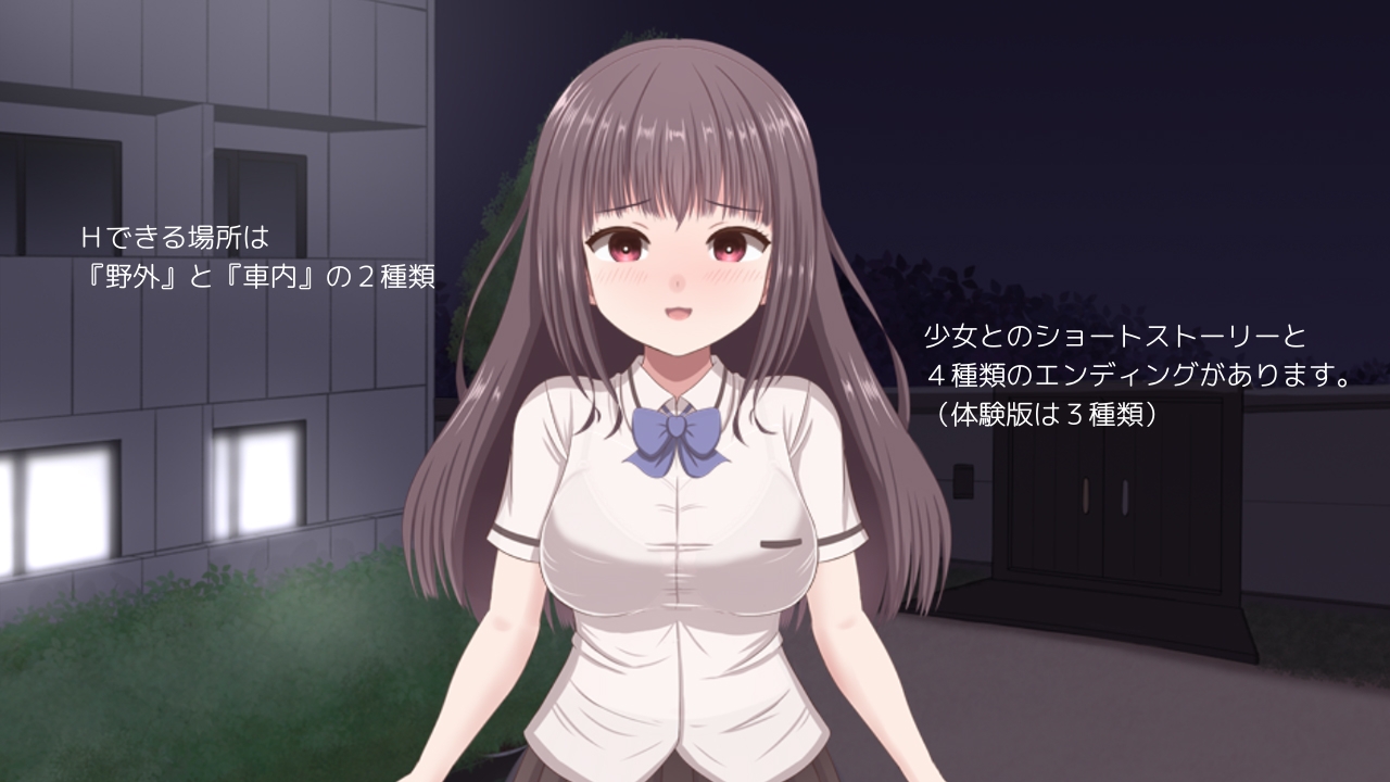 無理やりHシミュレーション～家出少女を凌○～ 画像6