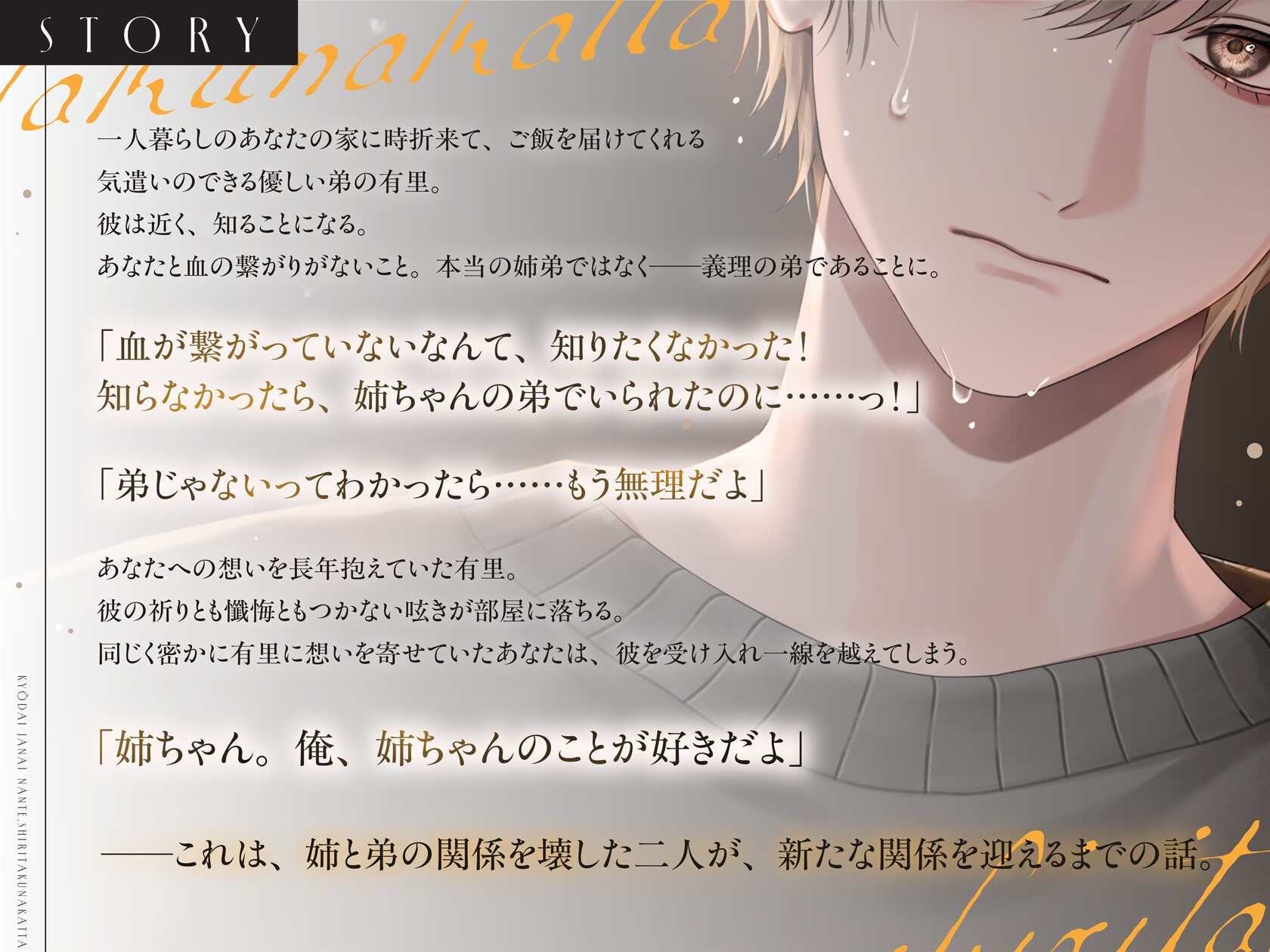 【義弟×禁断×恋慕】姉弟じゃないなんて、知りたくなかった-1画像