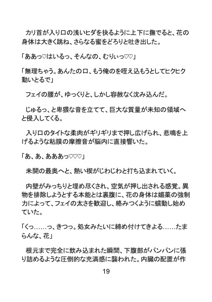 九龍ラビリンス〜執愛の香港マフィアに囚われ 極彩色の鳥籠で甘やかされました〜 画像5