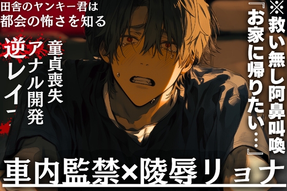 【田舎のヤンキー君は都会の怖さを知る】《車内監禁✖︎陵辱リョナ》※救い無し阿鼻叫喚※逆レイプ『お家に帰りたい…』アナル開発童貞喪失-0画像