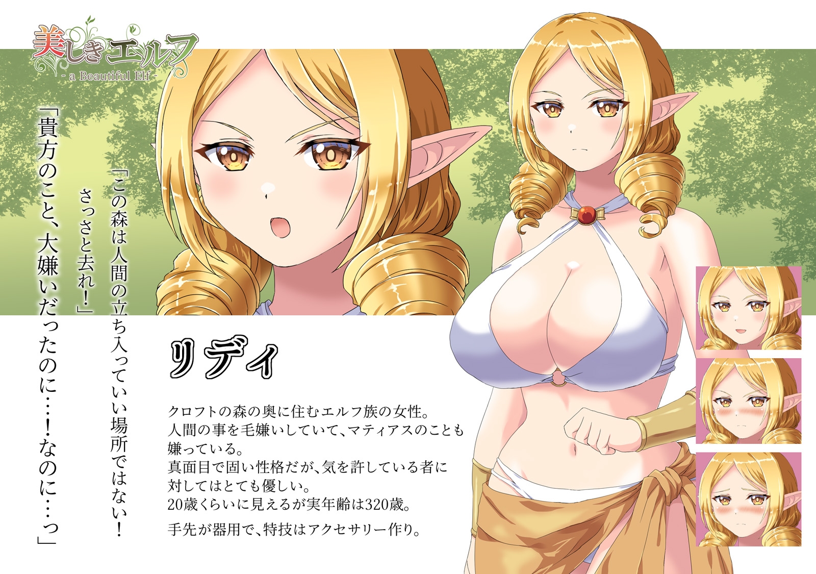 美しきエルフ Illust Collection 画像2