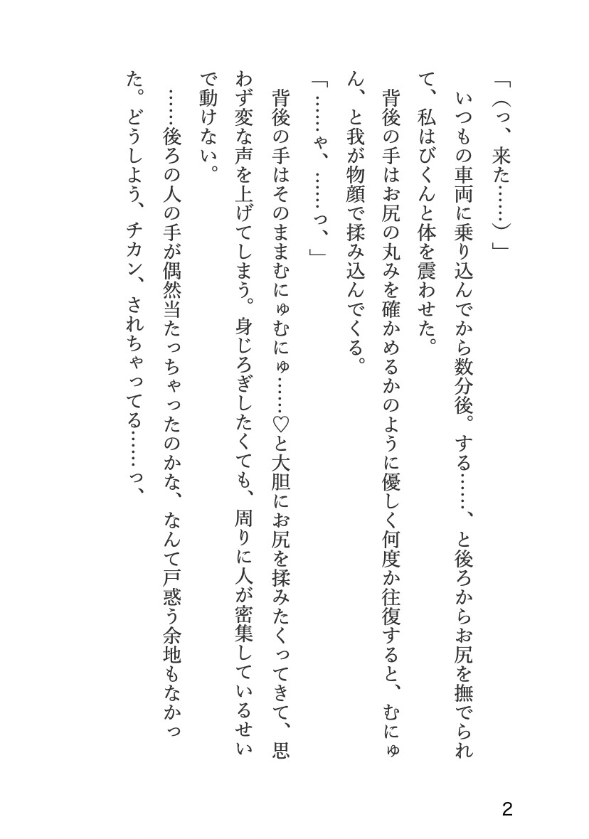 イケメン変態双子に執着されて、他の男に目が行かないようによーくわからされちゃう話 画像2