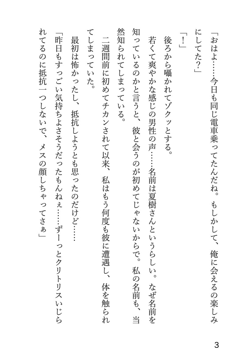 イケメン変態双子に執着されて、他の男に目が行かないようによーくわからされちゃう話 画像3